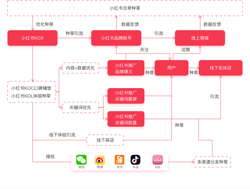 小红书价值网络图图片